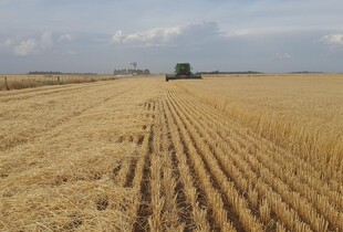 Агробізнесу підвищили вимоги для статусу критично важливого