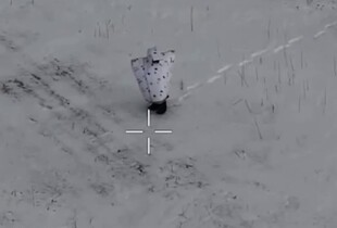 Втрати ворога на 12 лютого 2026 року: ЗСУ знищили ще майже 800 окупантів і 65 артсистем