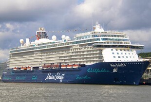 В Абу-Дабі іранська ракета впала неподалік круїзного лайнера з 3500 людьми на борту  -ЗМІ