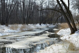 Від +1 до +12 градусів, але з вітром: прогноз погоди на 5 березня