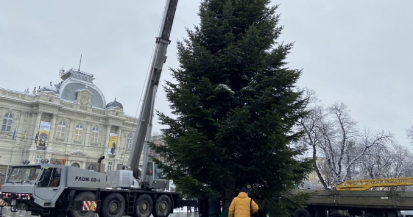 У Львові розпочали встановлювати новорічну ялинку (відео)